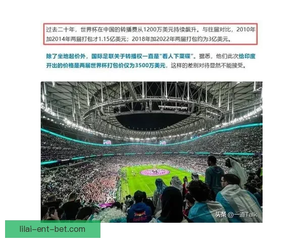 FIFA转播费高达二十亿球迷质疑官网无中文版不够尊重用户